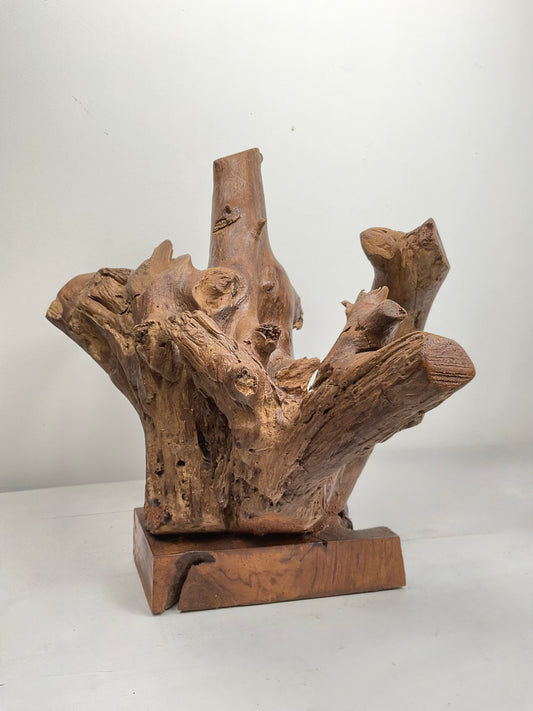 Earth’s Crown – Teak Root Sculpture