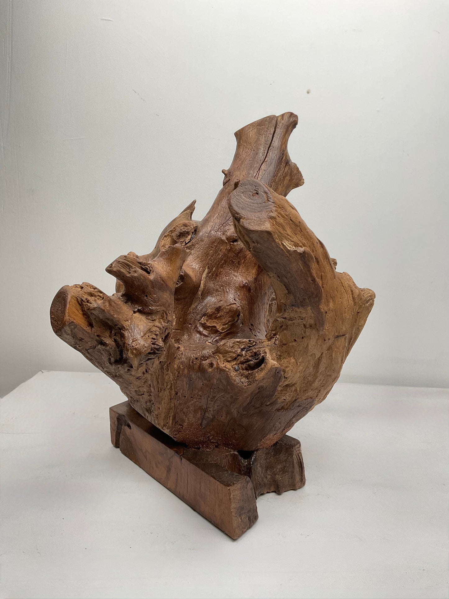 Earth’s Crown – Teak Root Sculpture