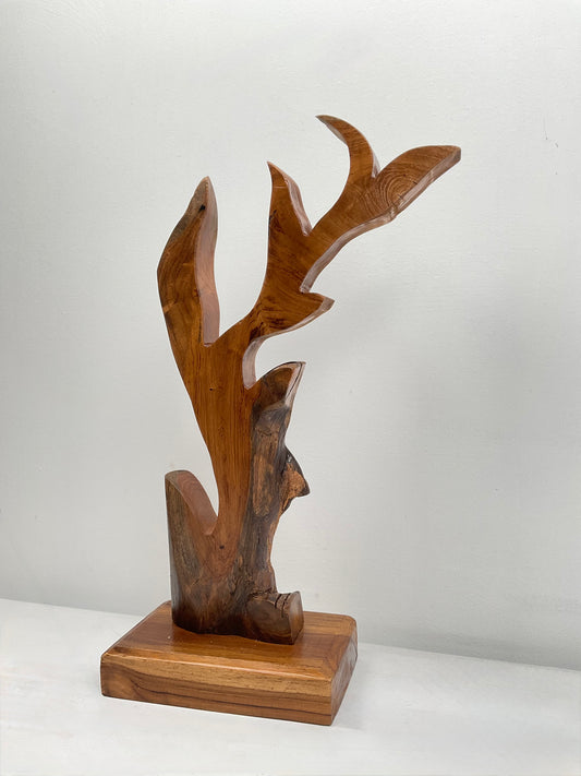 Skyward Reach – Organic Teak For