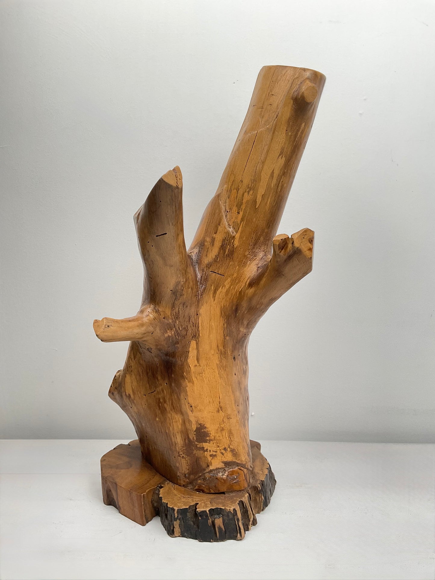 Branching Path – Teak Abstract Sculpture