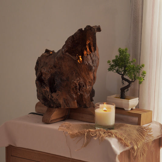 Sculptural Lighting from Nature