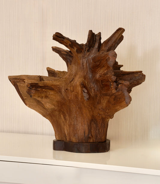 Crown of Roots – Teak Sculpture