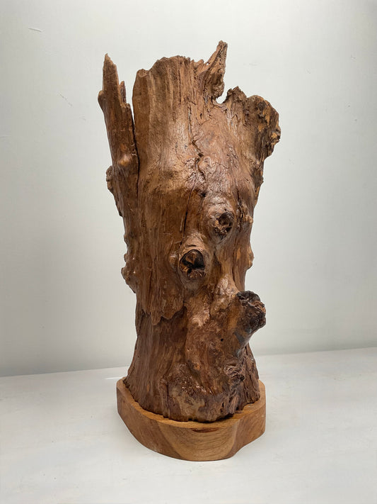 Ancient Sentinel – Teak Root Sculpture