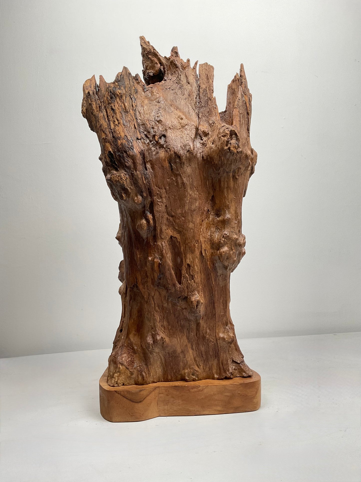 Ancient Sentinel – Teak Root Sculpture