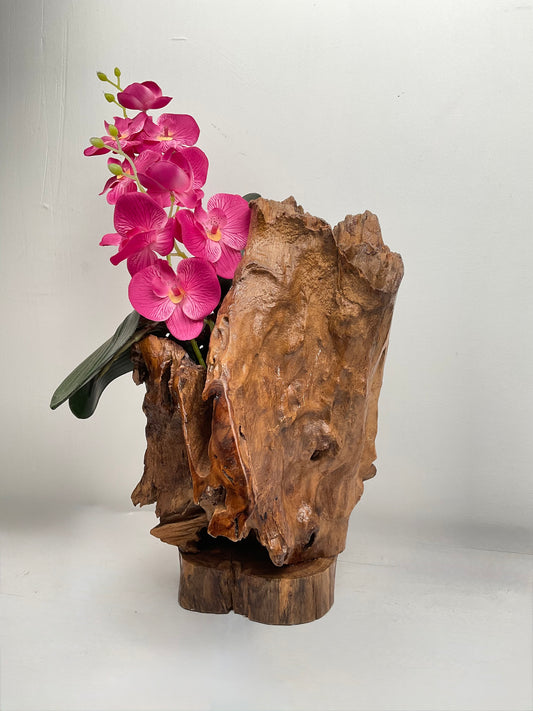 Wild Orchid Rise – Driftwood Art Display