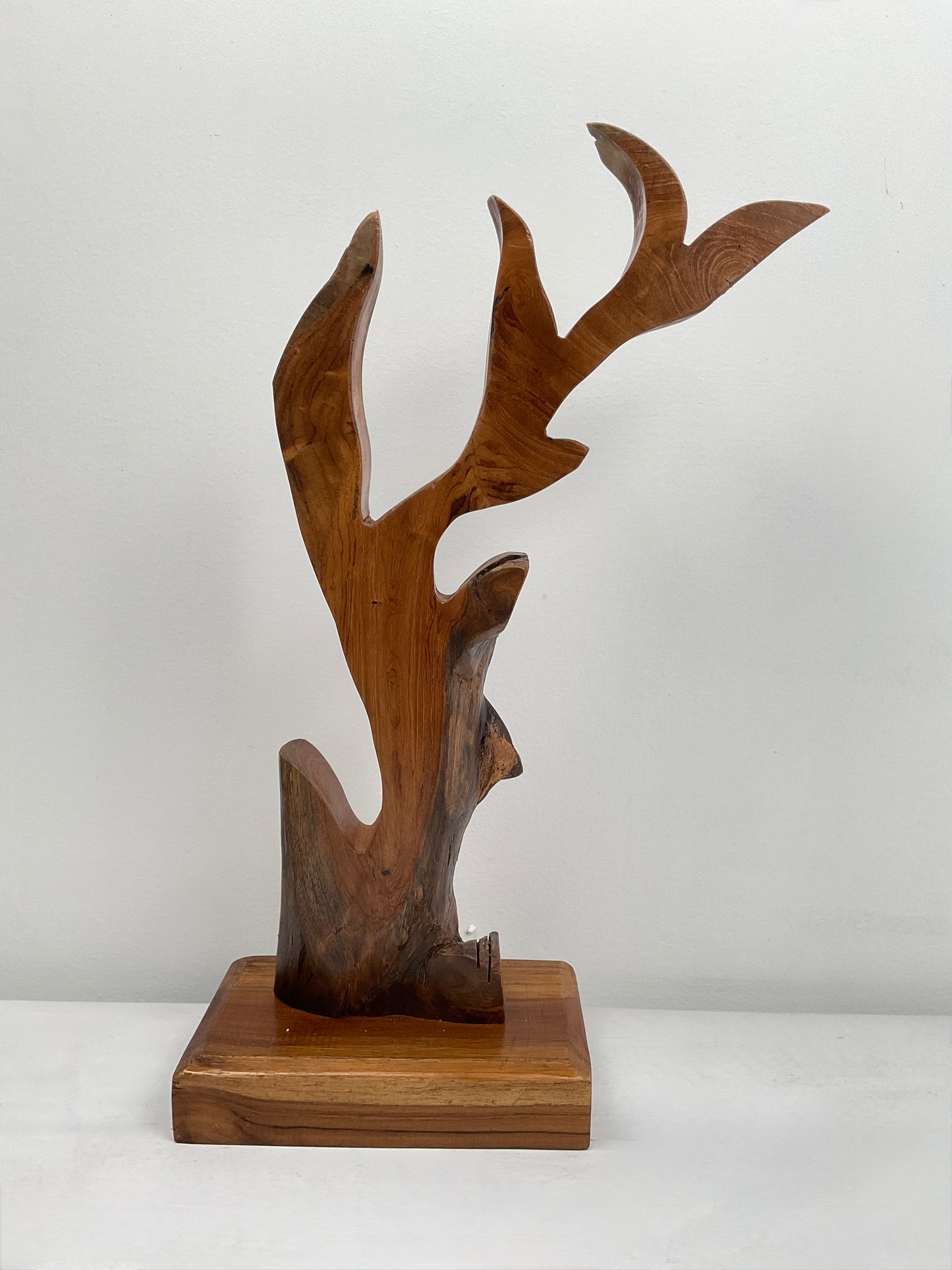 Skyward Reach – Organic Teak For