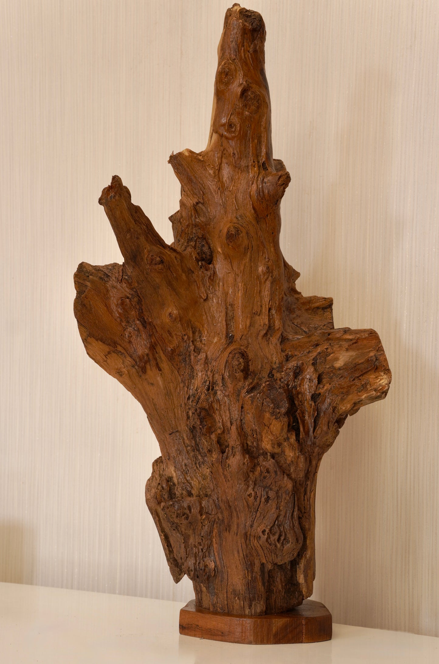 Forest Monolith – Teak Root Sculpture