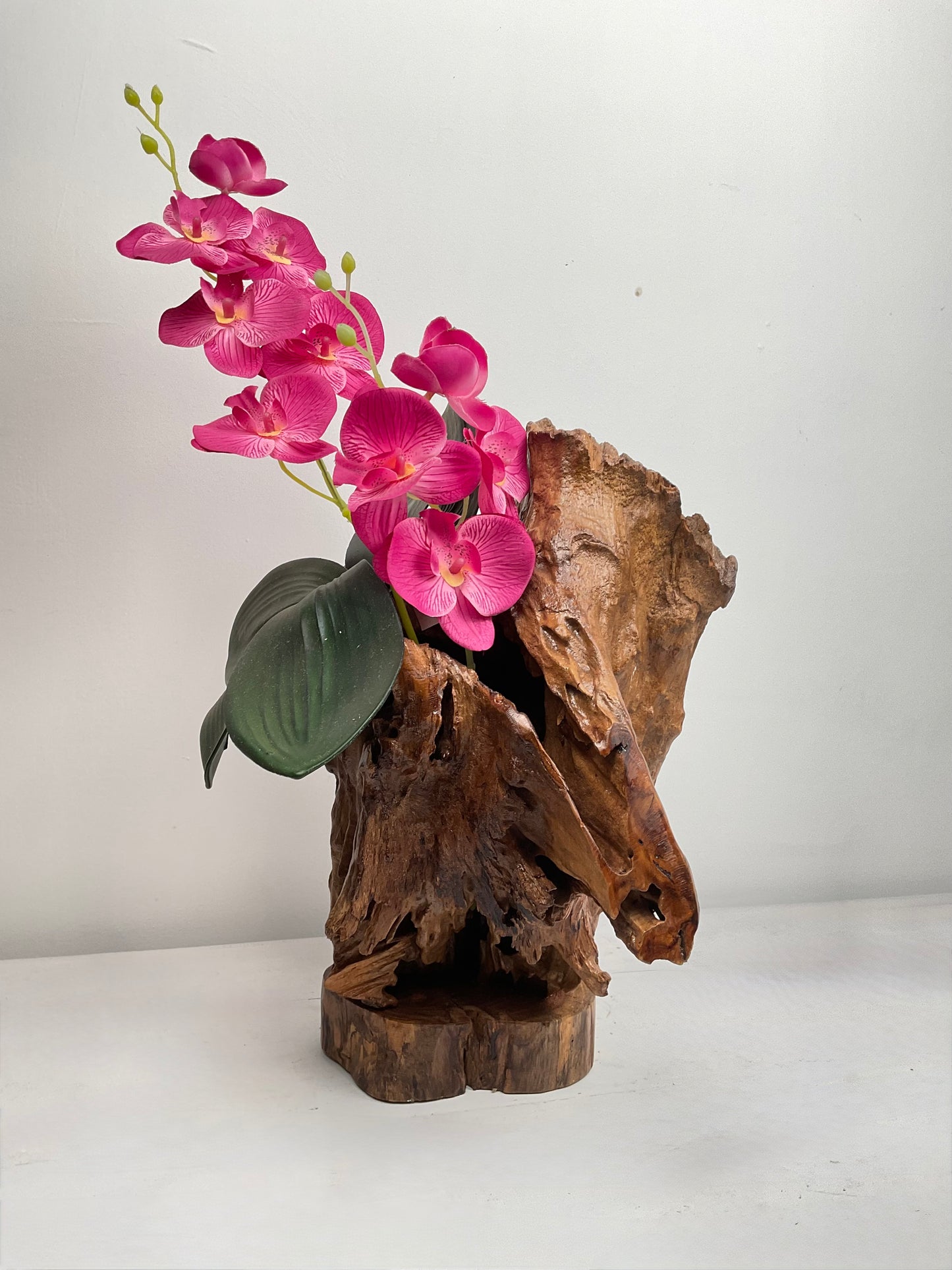 Wild Orchid Rise – Driftwood Art Display