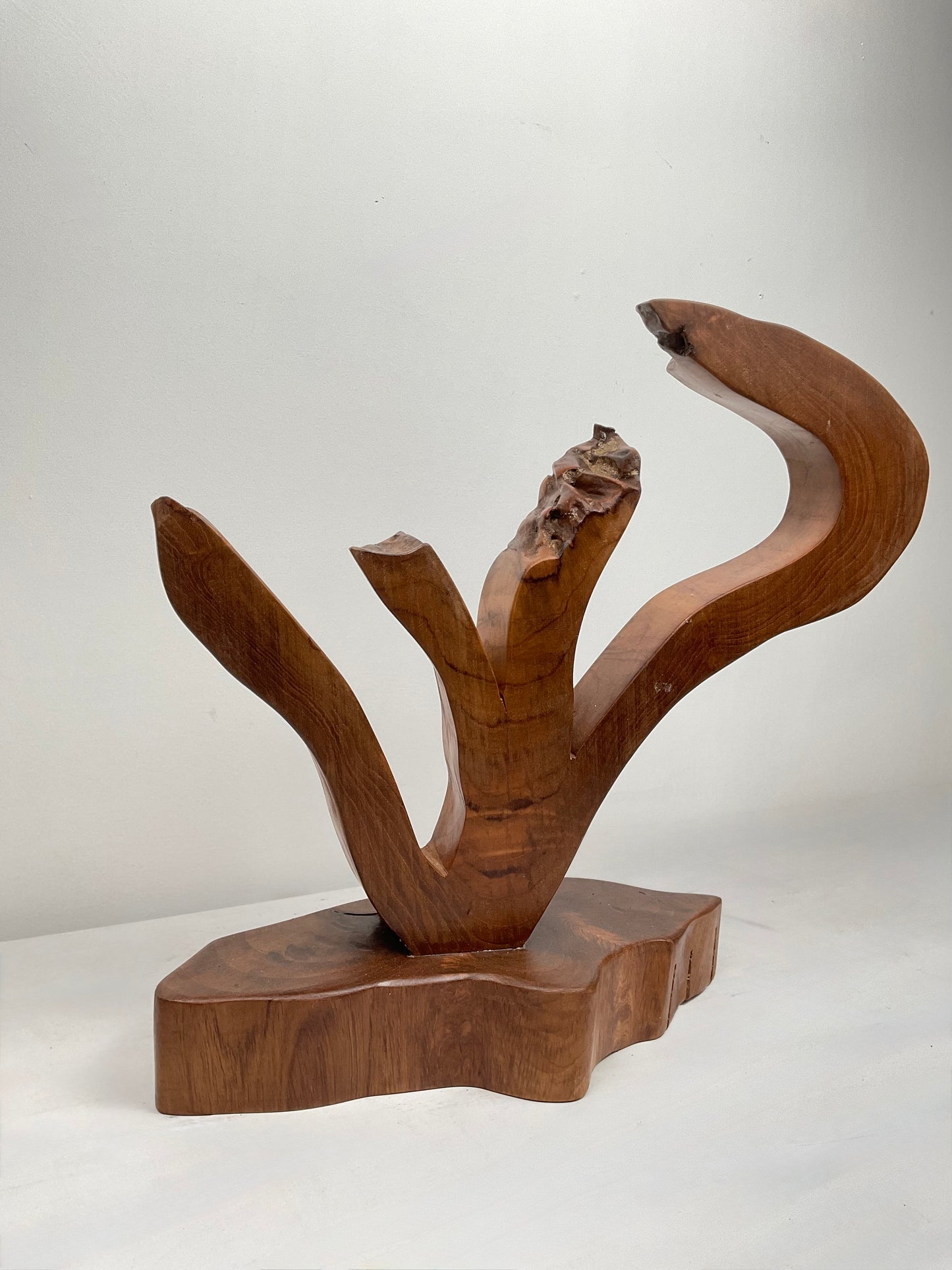 Rising Branches – Teak Abstract Sculpture