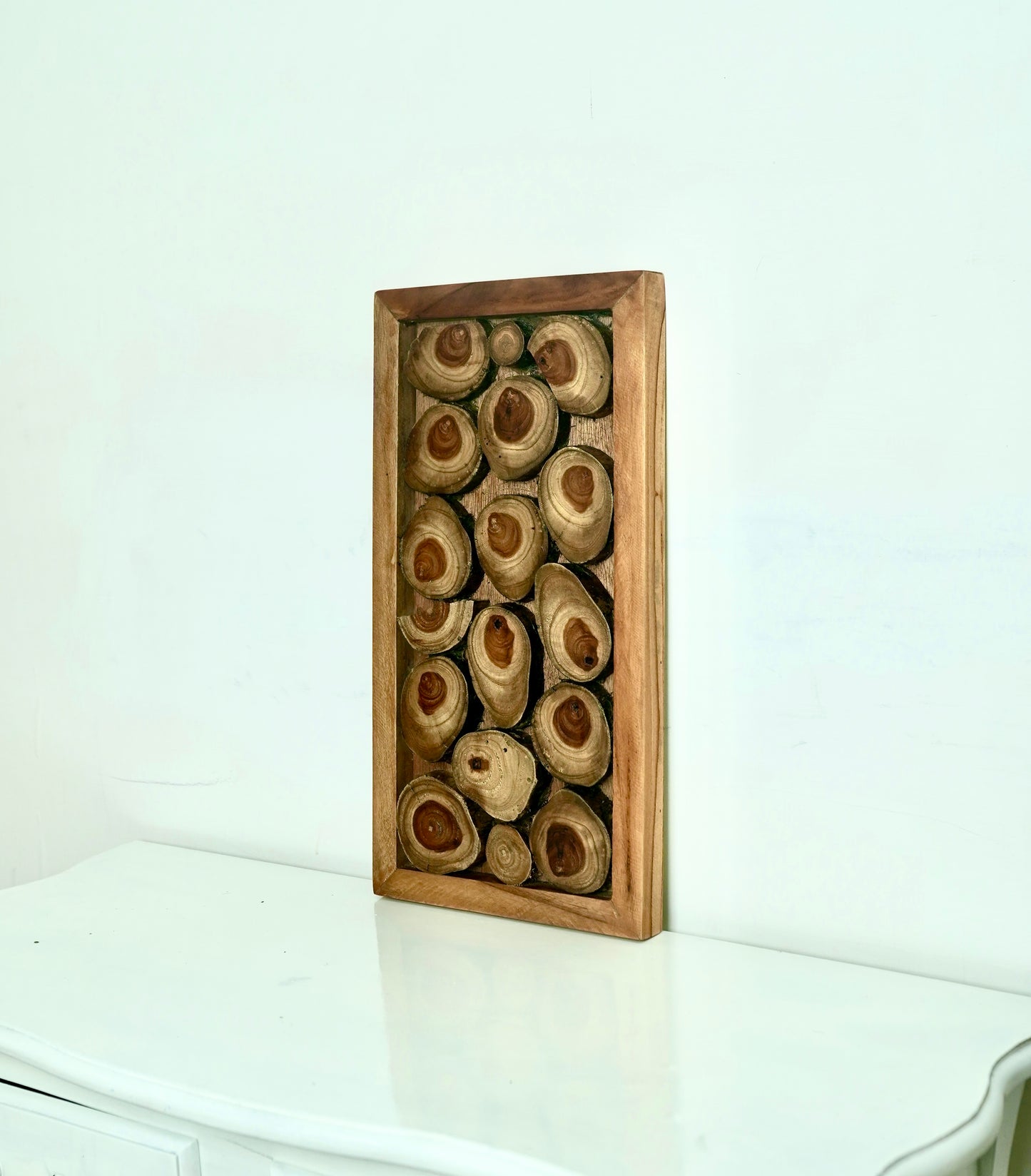 Framed Teak Cross-Section Wall Art – Organic Circle Composition