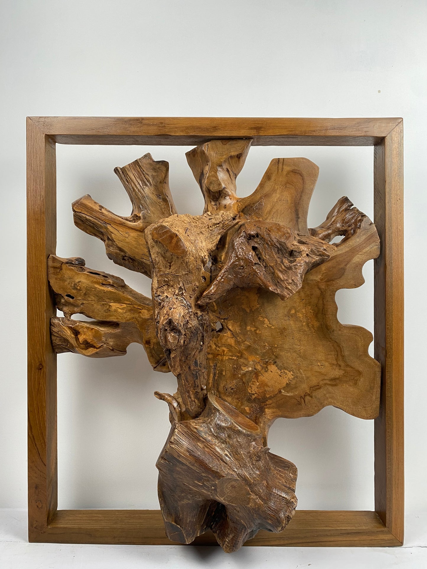 Framed Teak Root Wall Art – One-of-a-Kind Organic Sculpture