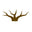 tevaracraft.com favicon