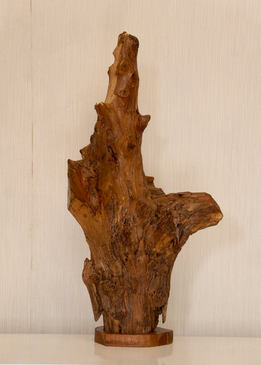 Forest Monolith – Teak Root Sculpture