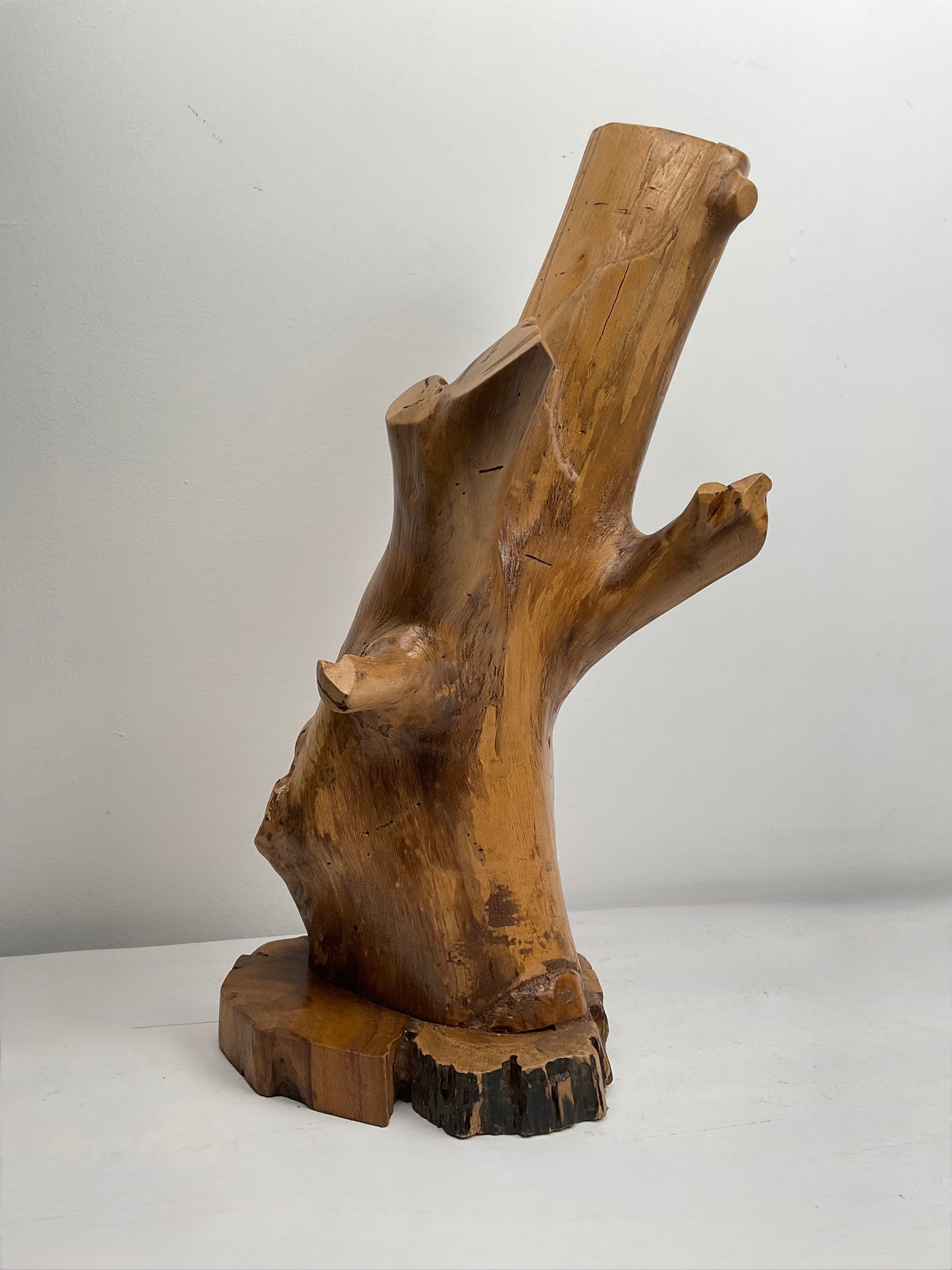 Branching Path – Teak Abstract Sculpture