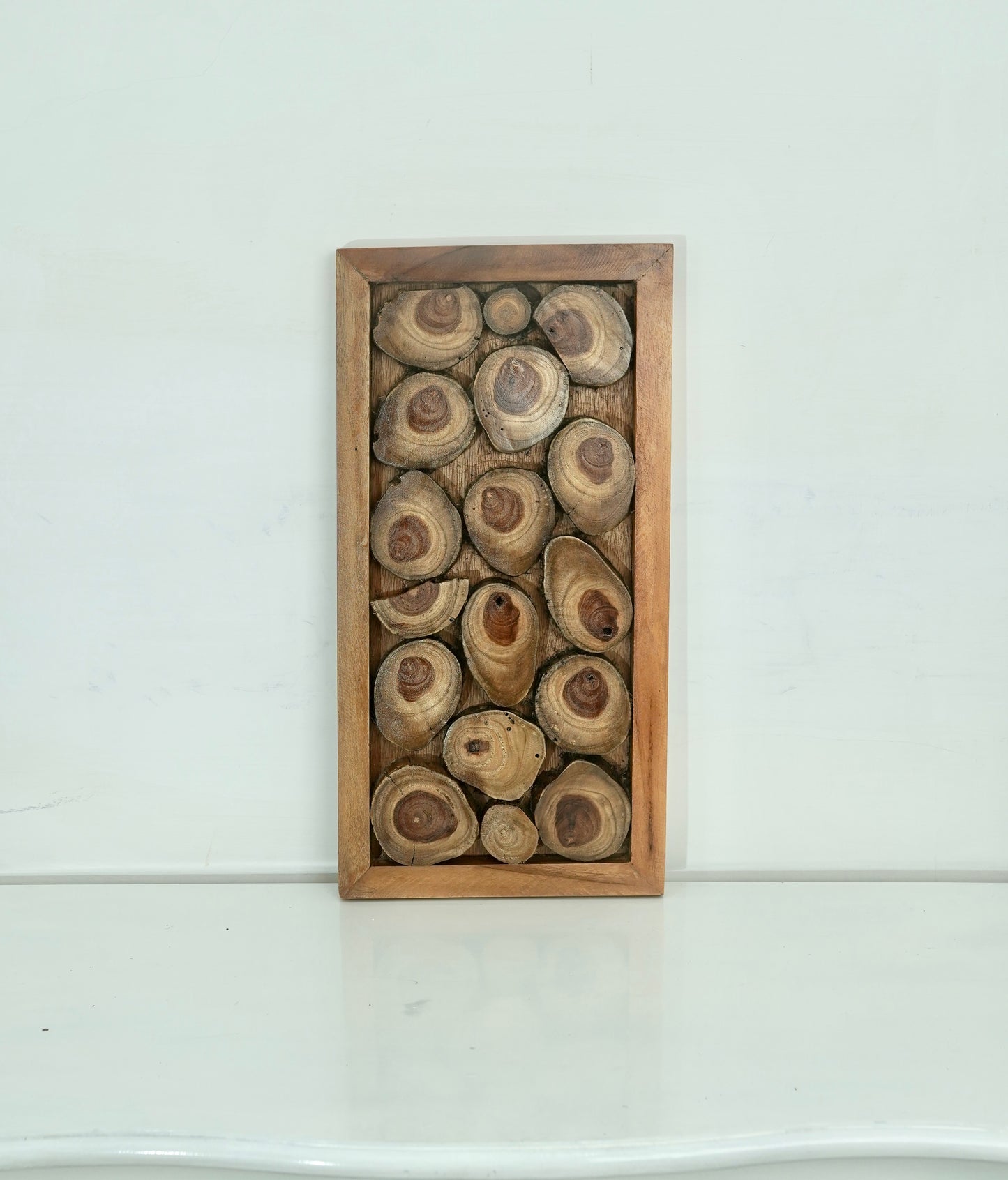 Framed Teak Cross-Section Wall Art – Organic Circle Composition
